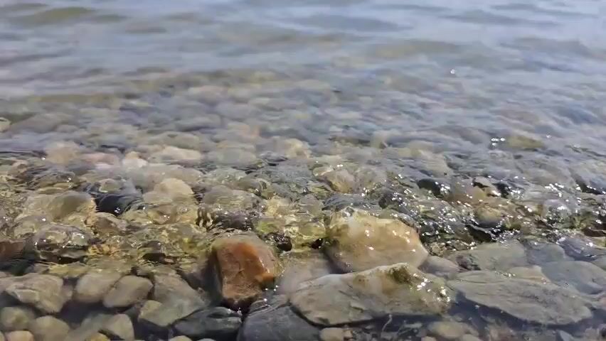 A low-angle, close-up shot shows a body of water gently washing over a bed of colorful, smooth stones. The water is clear, allowing the pebbles beneath to be seen. The stones are a mix of gray, white, brown, and orange hues, some appearing wet and darker, while others are lighter and drier. The surface of the water is slightly rippled, with the sunlight reflecting off it in shimmering patterns. The background is blurred, with the distant water appearing as a muted blue-gray. The overall impression is one of a calm, natural setting, likely a lakeshore or riverbank. There are no people or animals visible in the frame. The motion is subtle, with the water gradually advancing and receding over the stones.