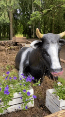 Afternoon in Pavlovsk Park: gardens, quirky cow décor, red squirrels