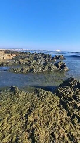 This is a video of a rocky coastline on a sunny day. The foreground is dominated by large, moss-covered rocks. In the middle ground, smaller, dark rocks emerge from clear, shallow water. In the background, a distant city skyline can be seen, and a white boat is sailing on the calm sea under a bright blue sky. The overall mood is peaceful and serene. The time of day appears to be morning or early afternoon, given the bright sunlight and clear sky. The location is likely a coastal area in Krasnaya Skala, Russia, as indicated by the context. There is no visible text in the video.