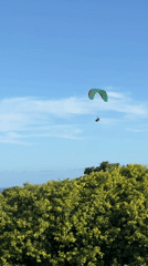 Paraglider, black dog spotted during morning hours May 5