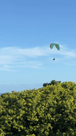 Paraglider, black dog spotted during morning hours May 5