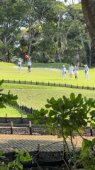 Morning golf resort scenes documented in Kuta Selatan