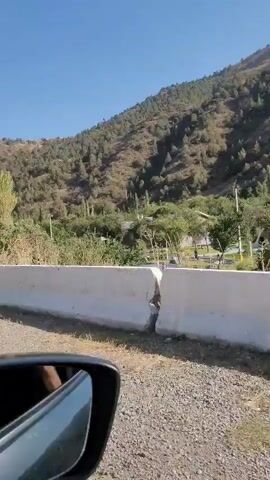 The video shows a view from a moving vehicle, looking out towards a mountainous landscape. In the foreground, there is a concrete barrier, possibly a guardrail, that runs along the side of a dirt road. Beyond the barrier, there is a scattering of trees and vegetation, and further in the distance, a hillside covered in trees and shrubs. A few buildings or structures are visible nestled among the trees on the hillside. The sky is clear and blue. The camera appears to be tilted slightly downwards, and the lower left corner of the video shows a portion of the vehicle's interior, likely the side mirror. The overall impression is of a scenic drive through a rural or natural area.