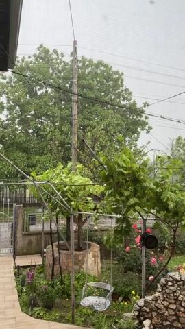 The video captures a garden scene during a rainy day. Raindrops are visible on what appears to be a window or screen in the foreground. In the middle ground, there's a lush green grape vine canopy supported by a metal structure, and a small white swing hangs beneath it. To the left, a stone pathway and a metal fence are visible. In the background, a tall wooden utility pole stands amidst dense green trees under an overcast sky. The grape leaves sway gently due to the weather.