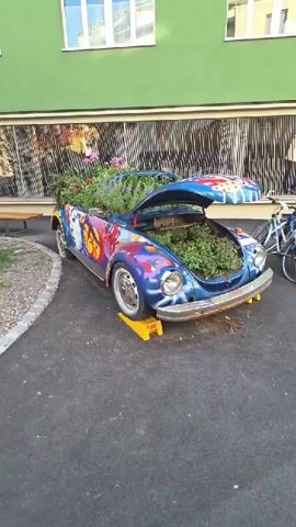 The video shows a vintage blue Volkswagen Beetle, transformed into a planter. The car is parked on asphalt, with yellow chocks under its wheels. The car's hood is open, revealing a dense growth of green plants and pink flowers. The car's exterior is vibrantly painted with colorful graffiti, including a large portrait of a woman's face on the driver's side door. The background features a green building with large windows and a striped pattern. A bicycle is visible on the right side of the frame. The scene appears to be outdoors, in daylight.