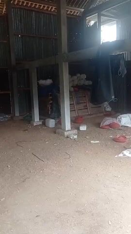 The video pans across the interior of a partially constructed or dilapidated building. The floor is dirt and gravel. In the foreground, there are two pink propane tanks. To the left, there are white bags or sacks covered with a blue tarp, and a white plastic container. There are several red plastic bowls or trays scattered on the ground. In the background, there are more white objects, possibly bags of feed or other materials, stacked on wooden pallets. A black tarp hangs from the ceiling. The walls and roof appear to be made of corrugated metal. To the right, there are two wooden ladders leaning against the wall. The building has concrete support pillars and a rough wooden beam structure. Sunlight streams in from openings, casting shadows. The overall impression is one of a storage area, possibly related to livestock or agriculture, in a state of disarray or under construction.