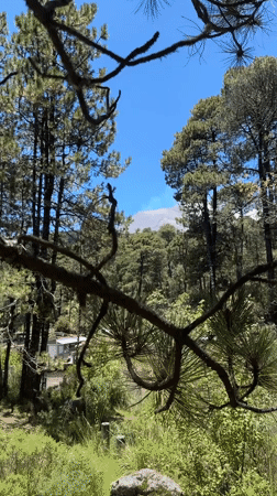 Exploring waterfalls and forest trails near Popocatépetl's lower slopes