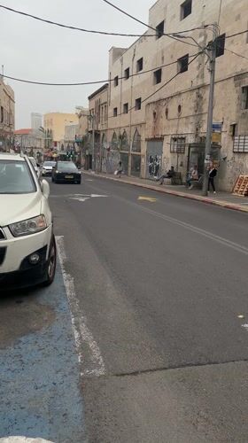 Morning street life and pet encounters across Tel Aviv