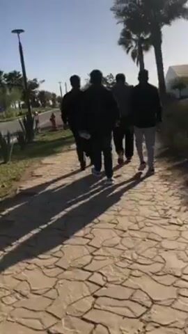 A group of five men walks away from the camera on a paved path. The path has a tessellated, irregular pattern in light shades. A road borders the path, and there are palm trees and other plants along the roadside.  The sky is blue and the light is bright. The men are wearing dark clothing except for one wearing light pants. Their shadows are long, suggesting it is early morning or late afternoon. There is a red fire hydrant visible by the road.