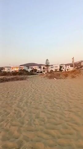 A vertical, low-angle video of a sandy beach leads to a cluster of white buildings with red-tiled roofs. The sand in the foreground is textured with ripples and scattered with small white debris. In the middle ground, there are piles of dry branches and some sparse vegetation. The buildings appear to be residential or hotel structures. Behind the buildings, a gentle hill is visible under a clear, pale blue sky. The lighting suggests either early morning or late afternoon. There are no people visible in the video.