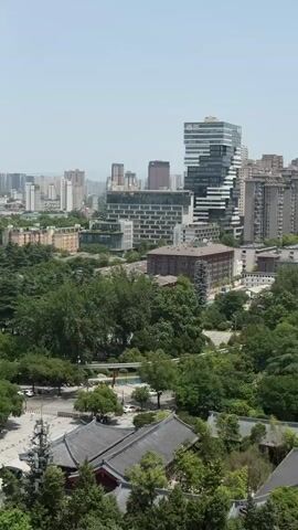 The video shows a high-angle shot of an urban landscape in China. In the foreground, there are traditional Chinese buildings with gray tiled roofs, surrounded by lush green trees. Beyond the trees, the cityscape is visible, with a mix of modern skyscrapers and older residential buildings. The sky is clear and blue, creating a bright and sunny atmosphere. The camera slowly pans from left to right, revealing more of the cityscape and the contrast between the traditional architecture and the modern skyline.
