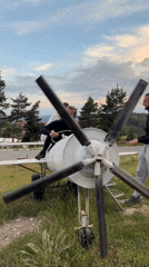 Grounded plane and floral heart sculpture in Sveta Petka