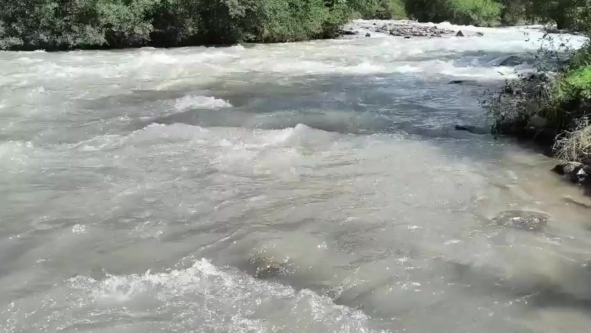 A wide, murky river flows rapidly. The water is turbulent, with white foam and ripples indicating a strong current. The riverbanks are lined with green trees and bushes. Sunlight illuminates the scene, creating highlights on the water's surface. The perspective is from a low angle, looking downstream. There are no people or man-made objects visible. The environment appears to be natural and wild.