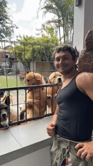 Man visits dogs at outdoor enclosure in North Kuta