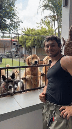 Man visits dogs at outdoor enclosure in North Kuta