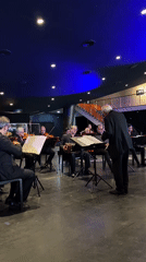 Small orchestra performs for audience in Buenos Aires concert hall