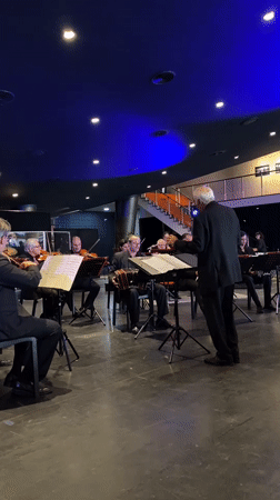 Small orchestra performs for audience in Buenos Aires concert hall