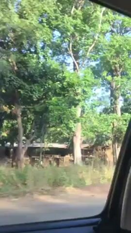 The video shows a view from inside a moving vehicle, likely a car, driving through a rural or suburban area on a sunny day. The camera is pointed towards the side of the road, capturing glimpses of buildings, trees, and other roadside features. The buildings are mostly single-story structures, some appearing older and possibly dilapidated. There are also lush green trees and vegetation lining the roadside. The road appears to be unpaved or partially paved, and the sky is clear and blue.