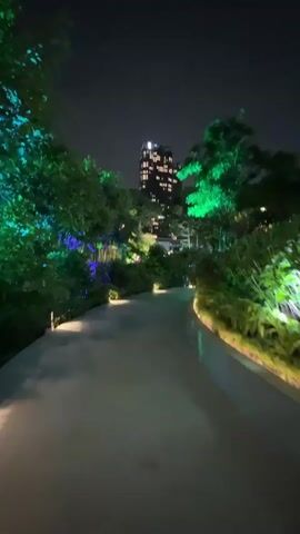 The video shows a nighttime view of a pathway winding through a park-like setting with trees and vegetation. The foliage is illuminated with colorful lights, predominantly green and blue, creating an ethereal ambiance. In the background, a tall building with illuminated windows is visible against the dark night sky. The pathway is paved and appears to be made of concrete or asphalt, with subtle lighting along its edges. The overall scene suggests an urban park or garden designed for evening enjoyment. There are no people visible in the video, and no specific actions are taking place other than the subtle camera movement which suggests the viewer is walking or moving along the path. The lighting effects appear to be static.