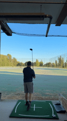 Early morning golf session interrupted by geese in Vancouver
