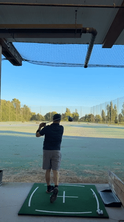 Early morning golf session interrupted by geese in Vancouver