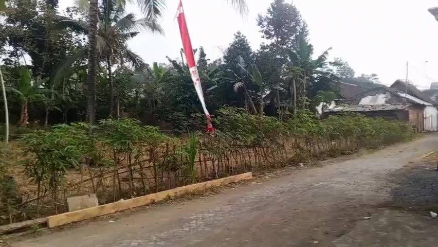 The video shows a rural landscape with trees, vegetation, and a dirt road. A red and white flag flies on a pole in the foreground. There is a fence made of bamboo poles. In the background, there are houses and more trees. The scene appears to be outdoors in an agricultural or undeveloped area.