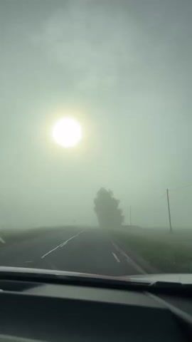 This is a first-person perspective video taken from inside a vehicle driving on a foggy road. The sun is visible as a bright, diffused circle in the pale, overcast sky. A lone tree with dense foliage is silhouetted against the fog on the right side of the road, and a traffic sign is visible on the left. The road ahead disappears into the thick fog. The dashboard of the vehicle is visible at the bottom of the frame. The overall atmosphere is serene and slightly mysterious due to the fog.