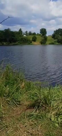 The video shows a body of water from a first-person perspective, with tall grass in the foreground. The water is calm with small ripples. Across the water, there is a grassy hill with scattered trees. The sky is visible above the hill with some clouds. There are no people or animals visible in the frame. The scene appears to be a natural outdoor environment on a sunny day.