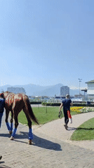 Race day activity at a Santiago horse racing track