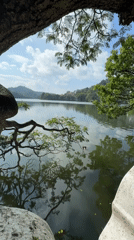 Early morning lakeside moments captured at Kandy Lake, Sri Lanka