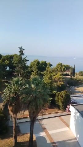 The video shows a view from a building's balcony looking out over a landscape towards the ocean. The sky is clear and blue. In the foreground, there is a palm tree. Beyond the palm tree is a courtyard with some paving stones and sparse landscaping. Further back, there are more trees, including some tall coniferous trees and a cypress tree. There is a building with a flat roof to the right of the frame, and another building further in the distance. The ocean is visible in the background, and there is a small boat or ship on the water. The overall impression is of a sunny day in a coastal area.