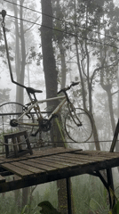 White bicycle mysteriously suspended in foggy Indonesian forest