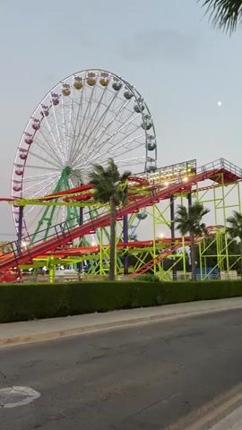 The video shows an amusement park with a Ferris wheel and roller coaster illuminated by lights. Two palm trees are visible, one taller than the other. The sky is overcast, suggesting it might be dusk or early evening. The ground in the foreground appears to be asphalt with a circular manhole cover. A low hedge runs along the edge of the amusement park. The Ferris wheel is in the background to the right and the roller coaster track weaves through the middle ground. The overall impression is that of an active amusement park at the end of the day.
