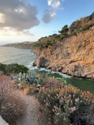 The video opens with a shot of a rugged coastline with the sea to the left and a rocky cliff face to the right. There are various plants in the foreground, including agave and some flowering shrubs. The sun is setting, casting a warm glow on the scene.

The camera then shifts focus to a group of people on a rocky outcrop overlooking the sea. In the foreground, a person in a black tank top and camouflage shorts is crouching, holding a water bottle and seemingly taking a photo with their phone. To the left, another person is lying on their back on a rock, looking up at the sky. In the background, two other people are seated. The sunset continues to dominate the sky, with the sun a bright orb on the horizon. The sea is calm, with gentle waves lapping against the shore. The overall impression is one of a relaxed gathering enjoying a beautiful natural setting at dusk.