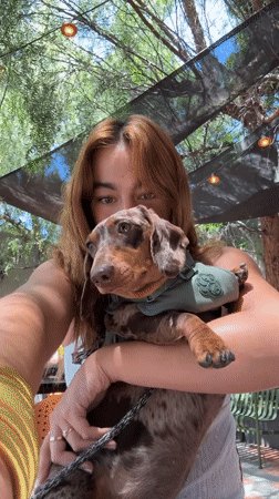 Everyday moments with pets and laptops captured in West Hollywood