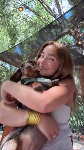 Everyday moments with pets and laptops captured in West Hollywood