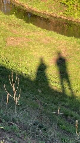 Two shadows on a grassy area are shown. The camera pans to a small body of water surrounded by trees with bare branches. The sky is visible and appears sunny.