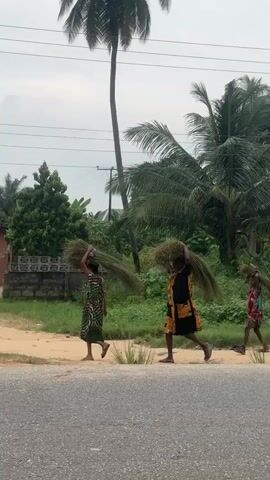 Three individuals, appearing to be two women and a child, walk along a dirt path next to a paved road. They are all carrying large bundles of green vegetation on their heads. The person in the middle, seemingly an adult woman, is wearing a yellow and black patterned dress. The person on the left, also appearing to be an adult woman, is wearing a green and brown patterned dress. The person on the right, who appears to be a child, is wearing a colorful patterned dress. They are walking in the same direction. The environment is lush with green vegetation, including trees and bushes. A pink house with a dark-colored roof is visible behind the people on the left. The sky is overcast. Power lines are visible in the background.