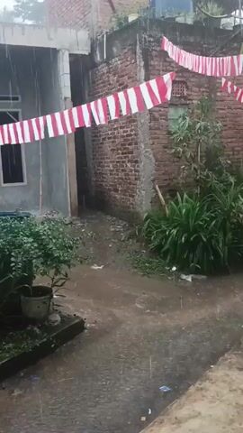 The video depicts a rainy day in a residential area. The camera is static, providing a view of a small yard or alleyway between buildings. A string of red and white flags, reminiscent of Indonesian national colors, is strung across the scene. Rain falls heavily, creating puddles on the ground and causing the flags to sway. Vegetation is visible, including small plants in pots. The buildings are made of brick and concrete.