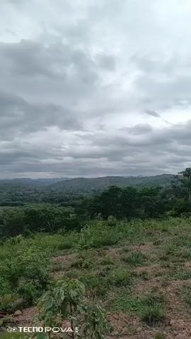 The video shows a landscape with trees and vegetation under a cloudy sky. The camera pans slightly from left to right, revealing a mix of greenery and brown soil in the foreground. In the distance, there are more trees and some hilly terrain. The sky is overcast with grey clouds dominating the view. There is a watermark at the bottom left corner of the screen that reads "Tecno Pova 5".