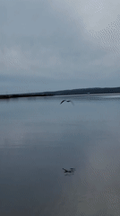 Casual observations documented across Chaikovsky, Russia during evening hours