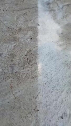 The video shows a close-up view of a tiled floor with a distinct line dividing a lighter, shinier section from a darker, duller section. Several small black ants are visible moving across the floor. Some ants are on the darker side, while others are on the lighter side. The lighting creates a shadow that falls diagonally across the floor, highlighting the texture and color differences in the tiles. The overall impression is of ants navigating across a floor that has been recently cleaned or polished in a portion of its area.