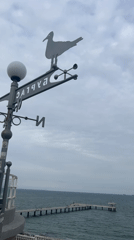 Casual afternoon documentation of Burgas landmarks and street scenes