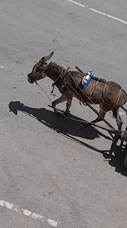 Daily life and resource movement across a Khan Yunis displacement camp