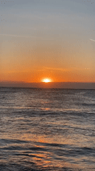 Sunset filming session captured on Bulgarian coast with dog