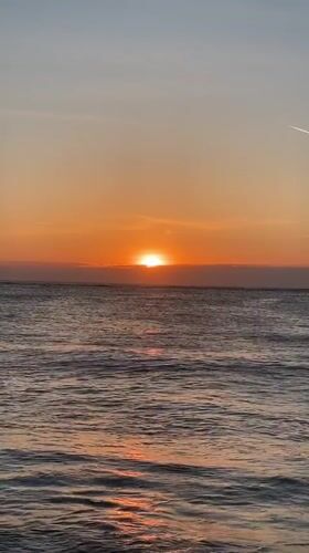 Sunset filming session captured on Bulgarian coast with dog