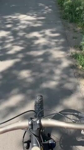 The video begins with a first-person perspective from a bicycle looking down at the handlebars and front tire, which is on an asphalt path. The path is shaded by trees, with dappled sunlight filtering through. The path continues ahead, flanked by green grass and trees. The scene then shifts to a wider, stable shot of the same asphalt path. The path is straight and appears to be in a park or a tree-lined street. On the left side of the path, there is a road with some cars driving by. There is a speed limit sign showing 40. The right side of the path is lined with lush green grass and more trees. The sky is blue with some clouds. The video ends with a view of the road and the grassy area next to it.