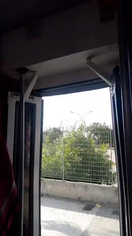 The video shows a view from inside a vehicle looking out through an open doorway. The doorway has metal frames and supports. Outside, there is a grey metal fence with green trees and foliage visible behind it. Overhead, there are streetlights. The ground outside appears to be paved. The lighting suggests it is daytime.