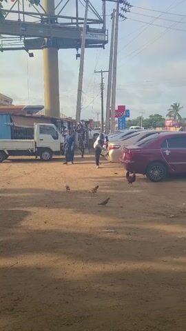 The video shows an outdoor scene in what appears to be a somewhat commercial or public area. The ground is dirt.  Several chickens are pecking on the ground.  In the background, there is a small white pickup truck. A woman in a long dress and two men are walking. A man in a white and black shirt is using a rag to wipe down the rear of a gold-colored sedan parked on the side of the road. There are other cars parked nearby, including a red sedan. Overhead are power lines and a large sign structure.  In the distance, there is a sign for “Brooks” stores. The scene seems to depict a typical day in a bustling, possibly developing, area.