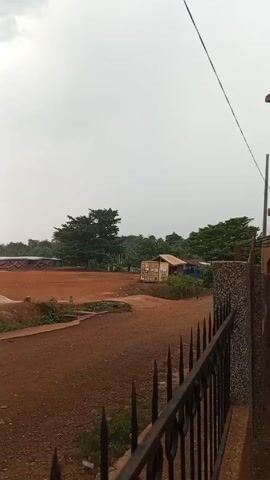 The video shows a view from behind a black metal fence, looking out across a red dirt landscape. The sky is overcast and white. There's a large tree on the left and a yellow shipping container converted into a small structure next to a wooden building. A patch of green vegetation is in the foreground. The scene feels rural.
